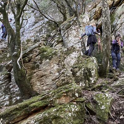 Occitanie Rando Trekking Herault Colombires Portail Cades Pomarde Albine 88