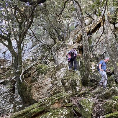 Occitanie Rando Trekking Herault Colombires Portail Cades Pomarde Albine 90
