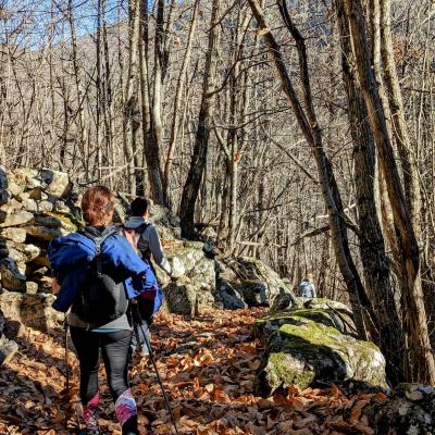 Randonne Dans La Valle Du Viallais Douch 113