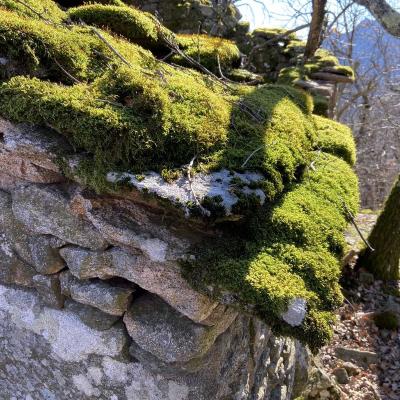 Randonne Dans La Valle Du Viallais Douch 59