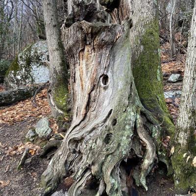 Occitanie Rando Trekking Herault Reco Colombieres Caroux Piste Madeleine Cadiol 08