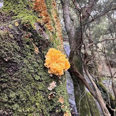 Occitanie Rando Trekking Herault Gorges Colombieres Gite La Fage 11