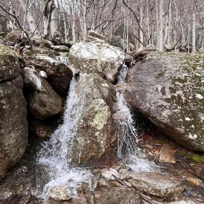 Occitanie Rando Trekking Herault Gorges Colombieres Gite La Fage 41