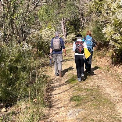 Occitanie Rando Trekking Herault Gorges Colombieres Ruisseau Du Pertus 07