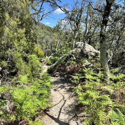 Occitanie Rando Trekking Herault Gorges Heric Cirque De Farrires 93