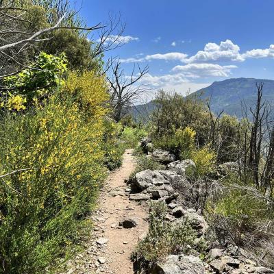 Occitanie Rando Trekking Herault Gorges Heric Cirque De Farrires 96