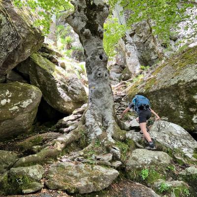 Mai 14 15 Rando Espinouse Au Caroux 127