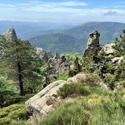 Mai 14 15 Rando Espinouse Au Caroux 188