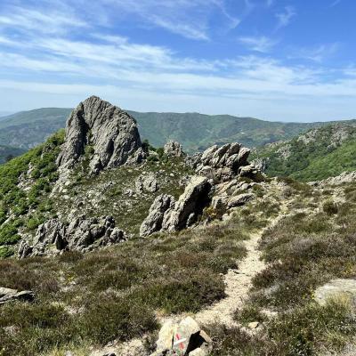 Mai 14 15 Rando Espinouse Au Caroux 197