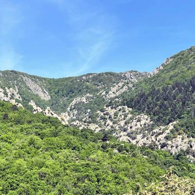 Mai 14 15 Rando Espinouse Au Caroux 19