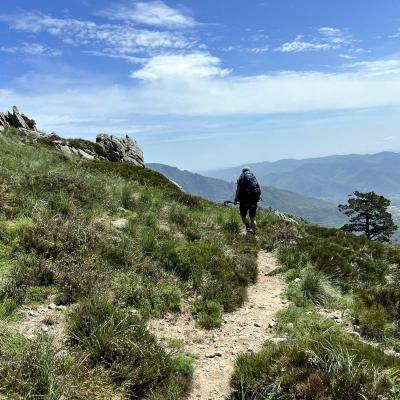 Mai 14 15 Rando Espinouse Au Caroux 206