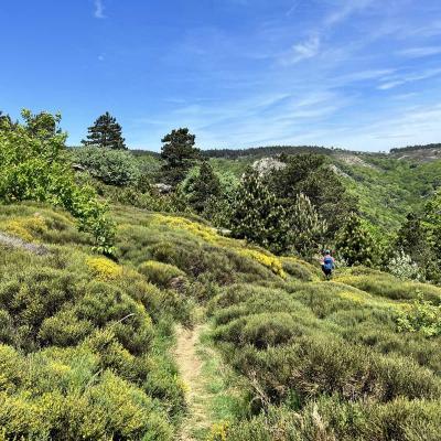 Mai 14 15 Rando Espinouse Au Caroux 211