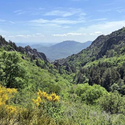 Mai 14 15 Rando Espinouse Au Caroux 221