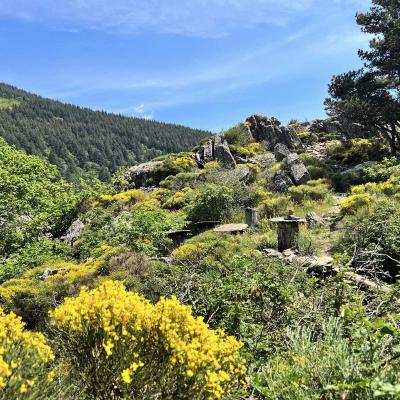 Mai 14 15 Rando Espinouse Au Caroux 41