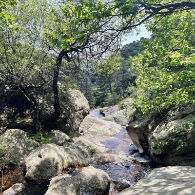 Mai 14 15 Rando Espinouse Au Caroux 49