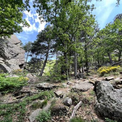 Mai 14 15 Rando Espinouse Au Caroux 55