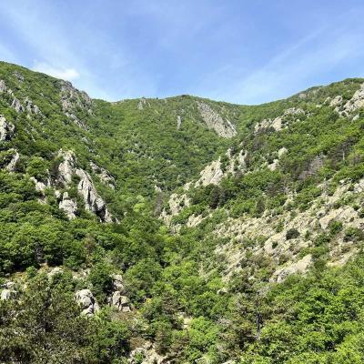 Mai 14 15 Rando Espinouse Au Caroux 67