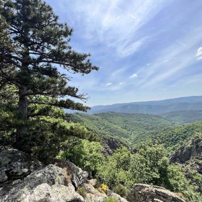 Mai 14 15 Rando Espinouse Au Caroux 69