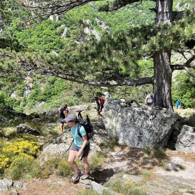 Mai 14 15 Rando Espinouse Au Caroux 72