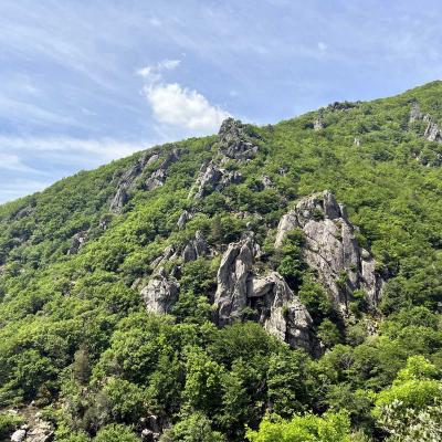 Mai 14 15 Rando Espinouse Au Caroux 82