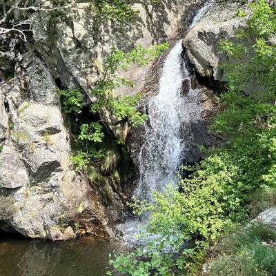 Mai 14 15 Rando Espinouse Au Caroux 92