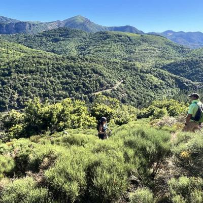 Occitanie Rando Trekking Herault Andabre Arrete Razigade Espinouse 65