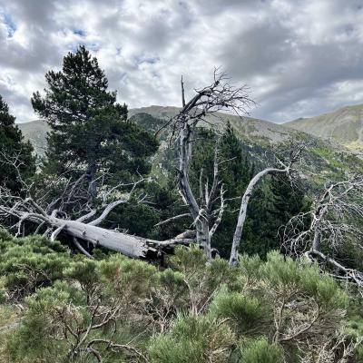 Occitanie Rando Rando Tour Canigou Vallespir Grp 102