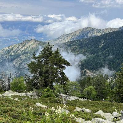 Occitanie Rando Rando Tour Canigou Vallespir Grp 156