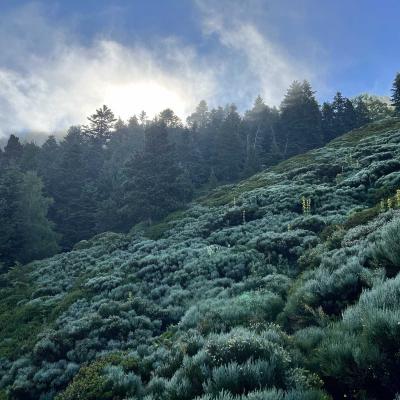 Occitanie Rando Rando Tour Canigou Vallespir Grp 174