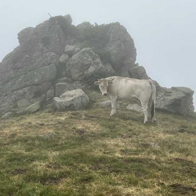 Occitanie Rando Rando Tour Canigou Vallespir Grp 190