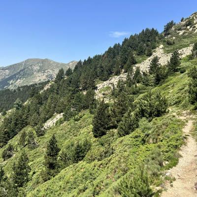 Occitanie Rando Rando Tour Canigou Vallespir Grp 247