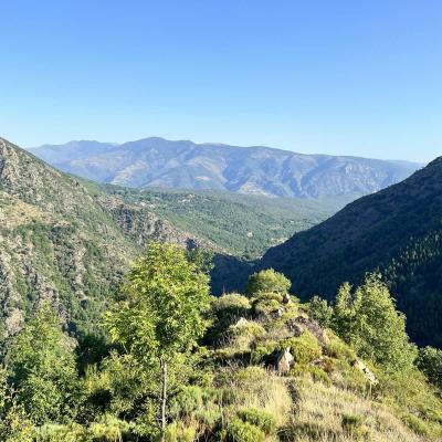 Occitanie Rando Rando Tour Canigou Vallespir Grp 290