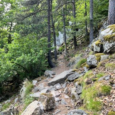 Occitanie Rando Rando Tour Canigou Vallespir Grp 67