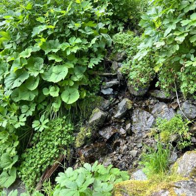 Occitanie Rando Rando Tour Canigou Vallespir Grp 91