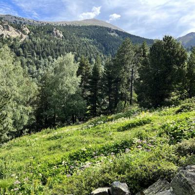 Occitanie Rando Rando Tour Canigou Vallespir Grp 93