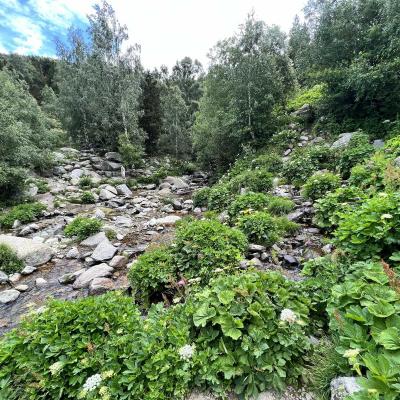 Occitanie Rando Rando Tour Canigou Vallespir Grp 94