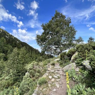 Occitanie Rando Rando Tour Canigou Vallespir Grp 96