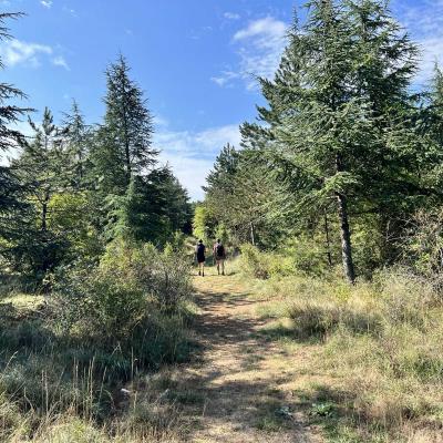 Occitanie Rando Trekking Pgairolles De Bueges Massif Seranne 29