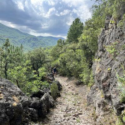 Occitanie Rando Trekking Pgairolles De Bueges Massif Seranne 51