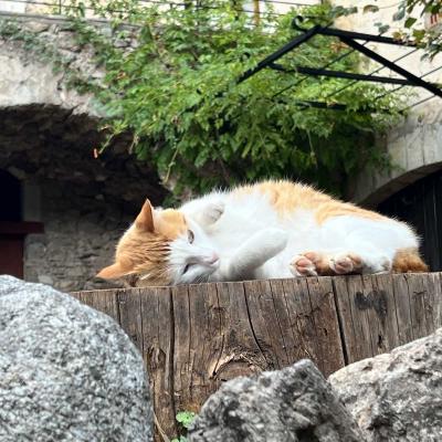 Occitanie Rando Trekking Pgairolles De Bueges Massif Seranne 67