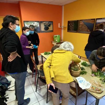 Occitanie Rando Atelier Plantes Sauvages Comestibles Cebenna Olargues 32