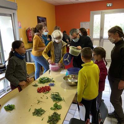 Occitanie Rando Atelier Plantes Sauvages Comestibles Cebenna Olargues 45