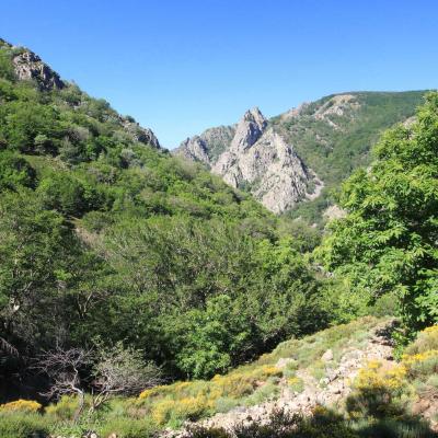 Randonne En Occitanie Du Vialais Au Caroux 02