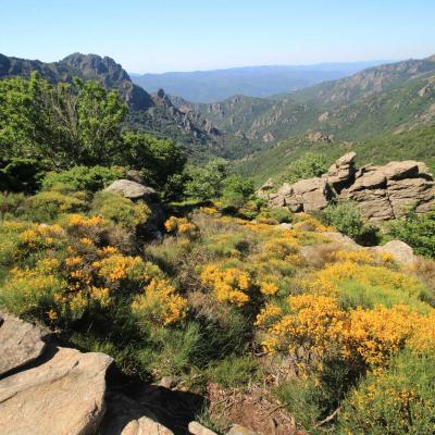 Randonne En Occitanie Du Vialais Au Caroux 04