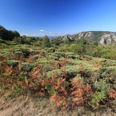 Randonne En Occitanie Du Vialais Au Caroux 18