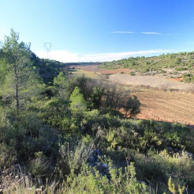 Randonne En Occitanie Labbaye De Fontcaude Cazedarnes 03