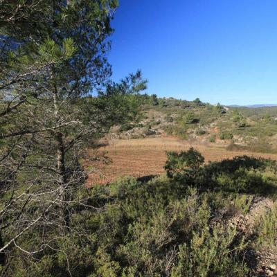 Randonne En Occitanie Labbaye De Fontcaude Cazedarnes 04