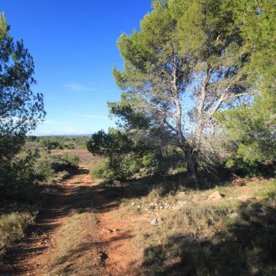 Randonne En Occitanie Labbaye De Fontcaude Cazedarnes 05