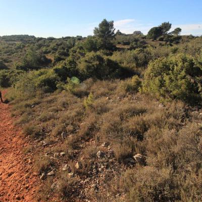 Randonne En Occitanie Labbaye De Fontcaude Cazedarnes 06