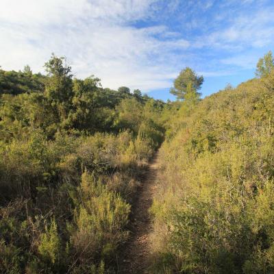 Randonne En Occitanie Labbaye De Fontcaude Cazedarnes 13